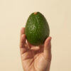 GEM™ avocado