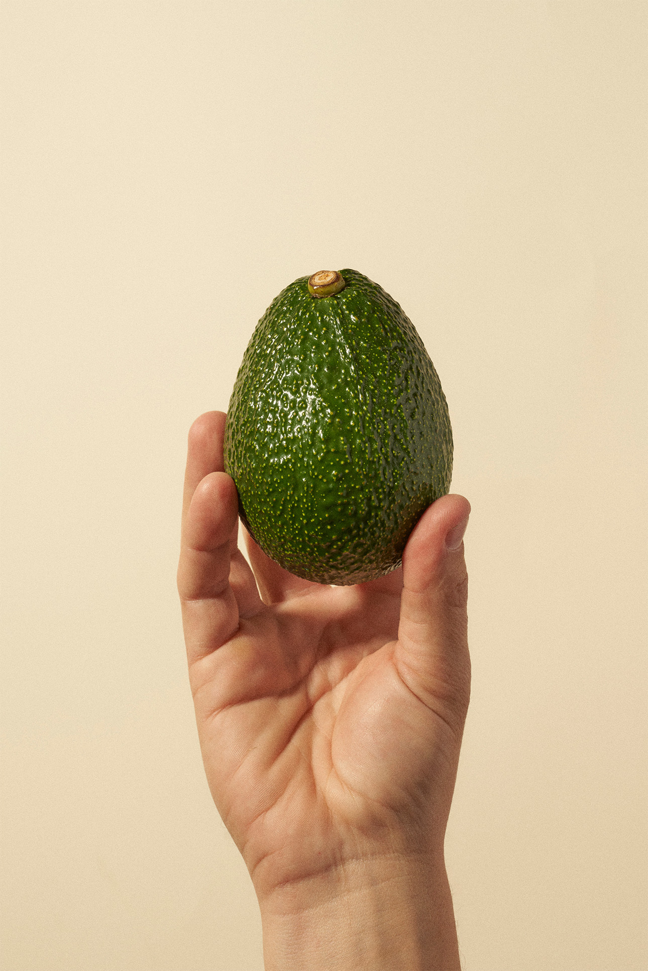 GEM™ avocado
