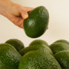 GEM avocados in hand