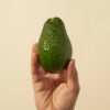 Hass avocado delivery