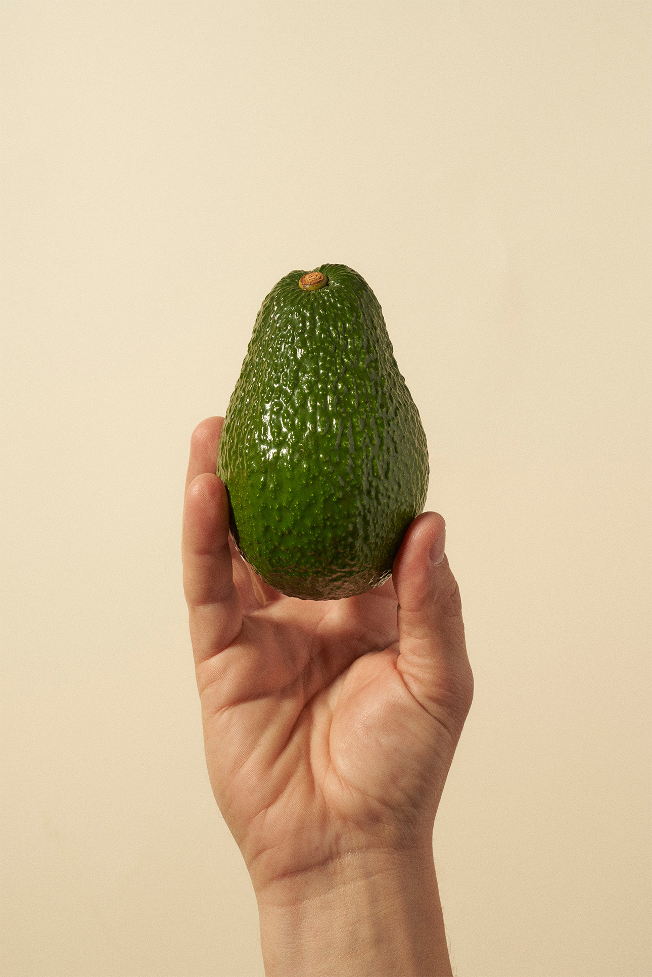 Hass avocado delivery