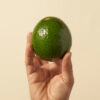 Reed avocado delivery