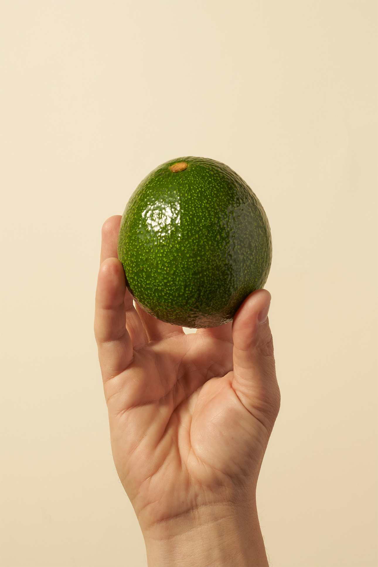 Reed avocado delivery
