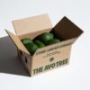 Avocado delivery box