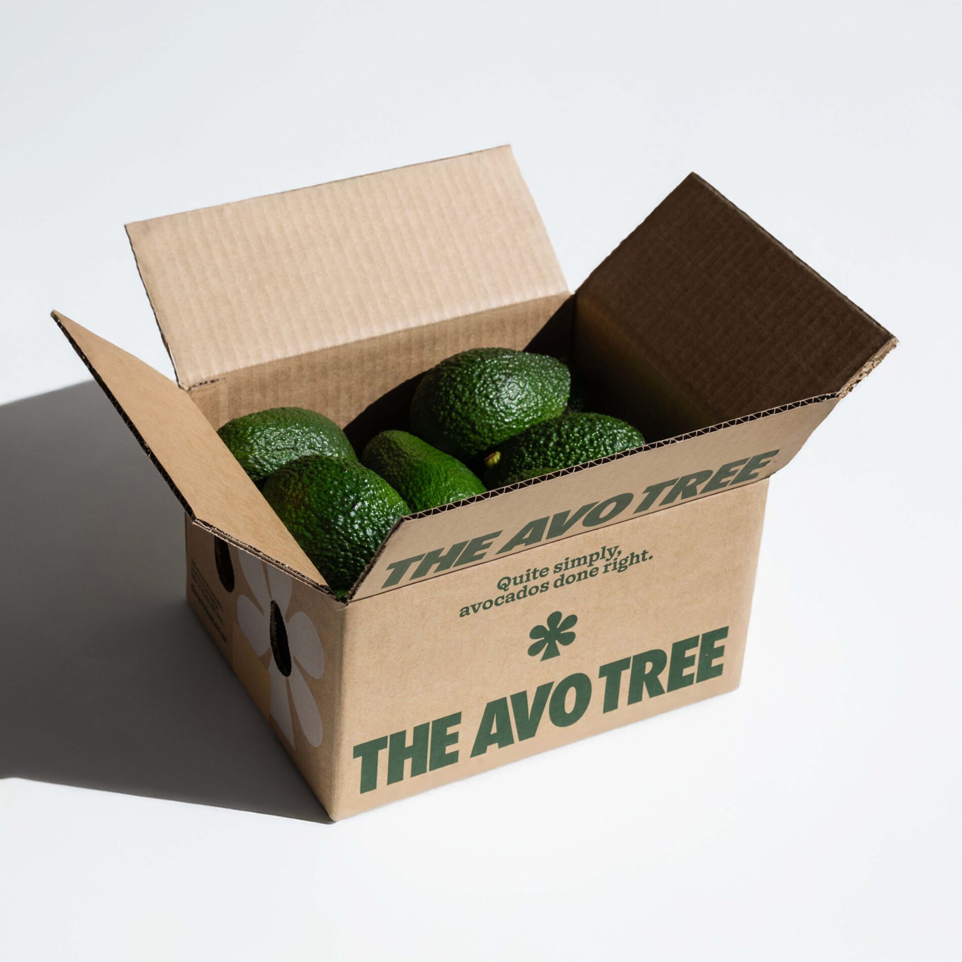 Avocado delivery box